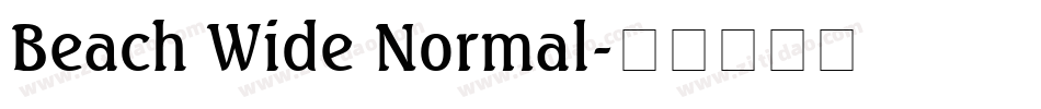 Beach Wide Normal字体转换